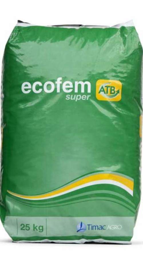 ECOFEM