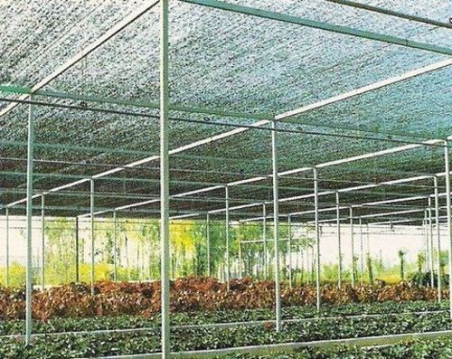 ACCESORIOS - UMBRACULOS