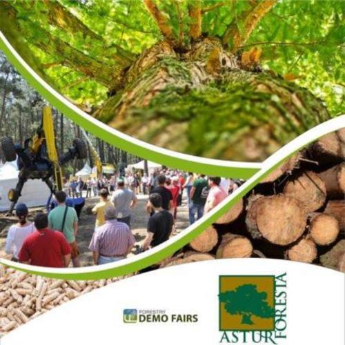 ASTURFORESTA 2019