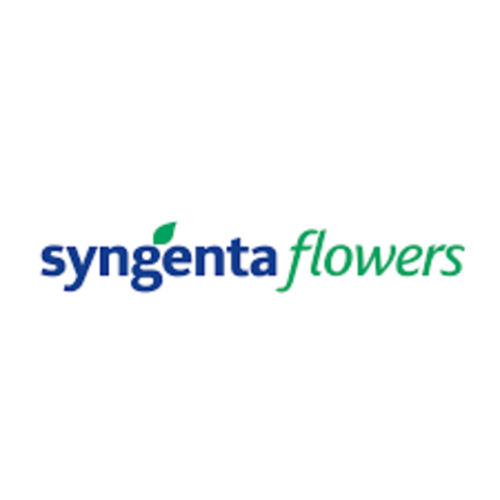 SYNGENTA