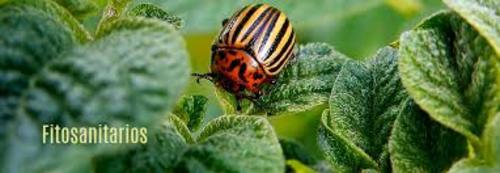 Fitosanitarios