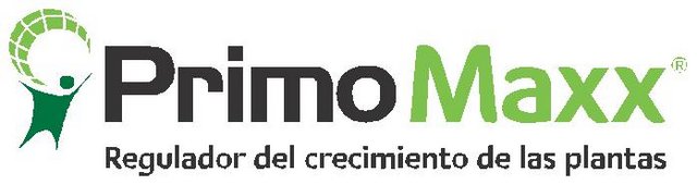 Productos especiales